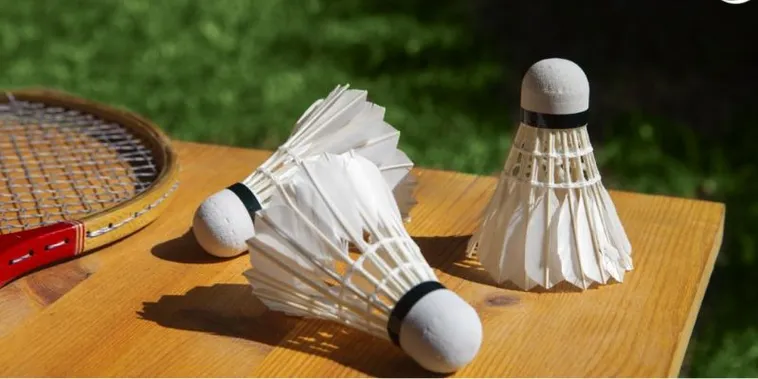 Bật Mí Cách Chơi Cá Cược Cầu Lông Tại Alo789 Cực Dễ Thắng 2 Bật Mí Cách Chơi Cá Cược Cầu Lông Tại Alo789 Cực Dễ Thắng