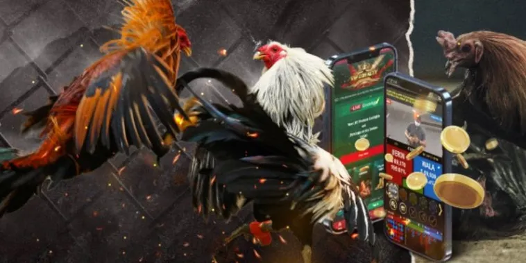 Trải Nghiệm Cách Chơi Đá Gà GA28 Tại Alo789 Đầy Kịch Tính 2 Trải Nghiệm Cách Chơi Đá Gà GA28 Tại Alo789 Đầy Kịch Tính