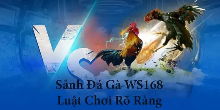 Bật Mí Cách Chơi Đá Gà WS168 Tại Alo789 Cực Dễ Cho Tân Binh 1 Bật Mí Cách Chơi Đá Gà WS168 Tại Alo789 Cực Dễ Cho Tân Binh
