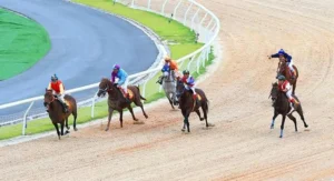 Tìm Hiểu Cá Cược Đua Ngựa Alo789 Cùng Bí Kíp Từ Cao Thủ 4 Tìm Hiểu Cá Cược Đua Ngựa Alo789 Cùng Bí Kíp Từ Cao Thủ