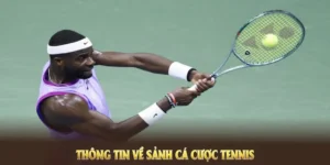 Tìm Hiểu Cá Cược Quần Vợt Alo789 Đón Đầu Mọi Giải Grand Slam 5 Tìm Hiểu Cá Cược Quần Vợt Alo789 Đón Đầu Mọi Giải Grand Slam